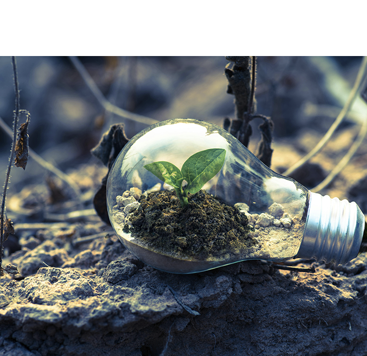 cooperativa-las-gaya-transformacion-social
